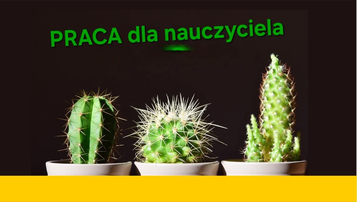 Szukamy nauczyciela wychowania przedszkolnego!